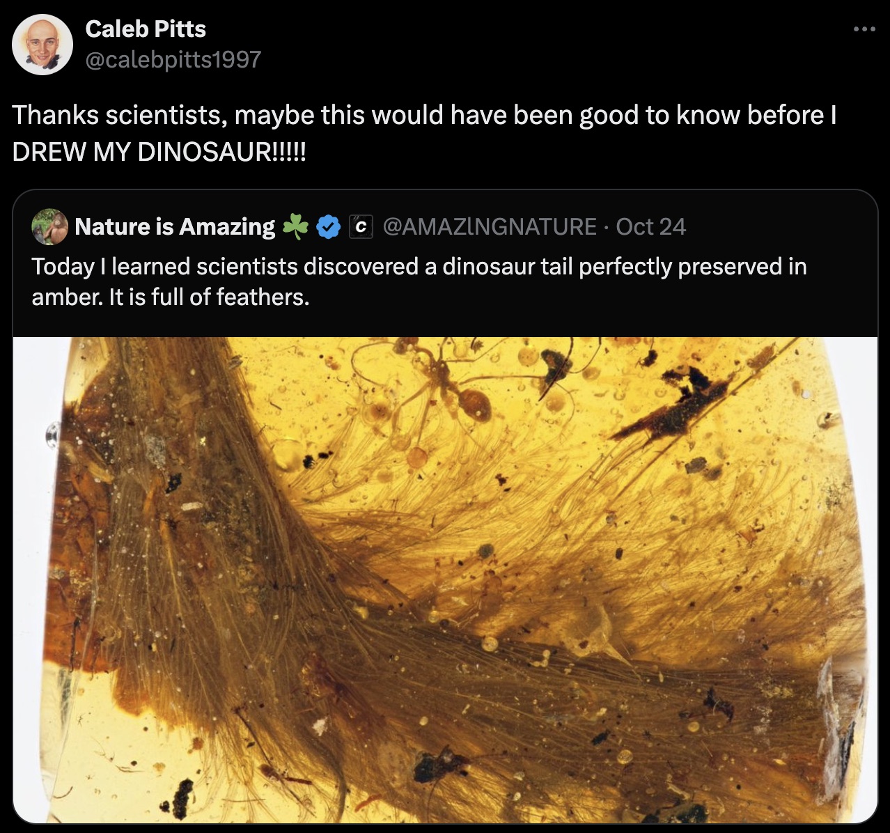 dinosaur feathers amber - Caleb Pitts Thanks scientists, maybe this would have been good to know before I Drew My Dinosaur!!!!! Nature is Amazing C Oct 24 Today I learned scientists discovered a dinosaur tail perfectly preserved in amber. It is full of fe